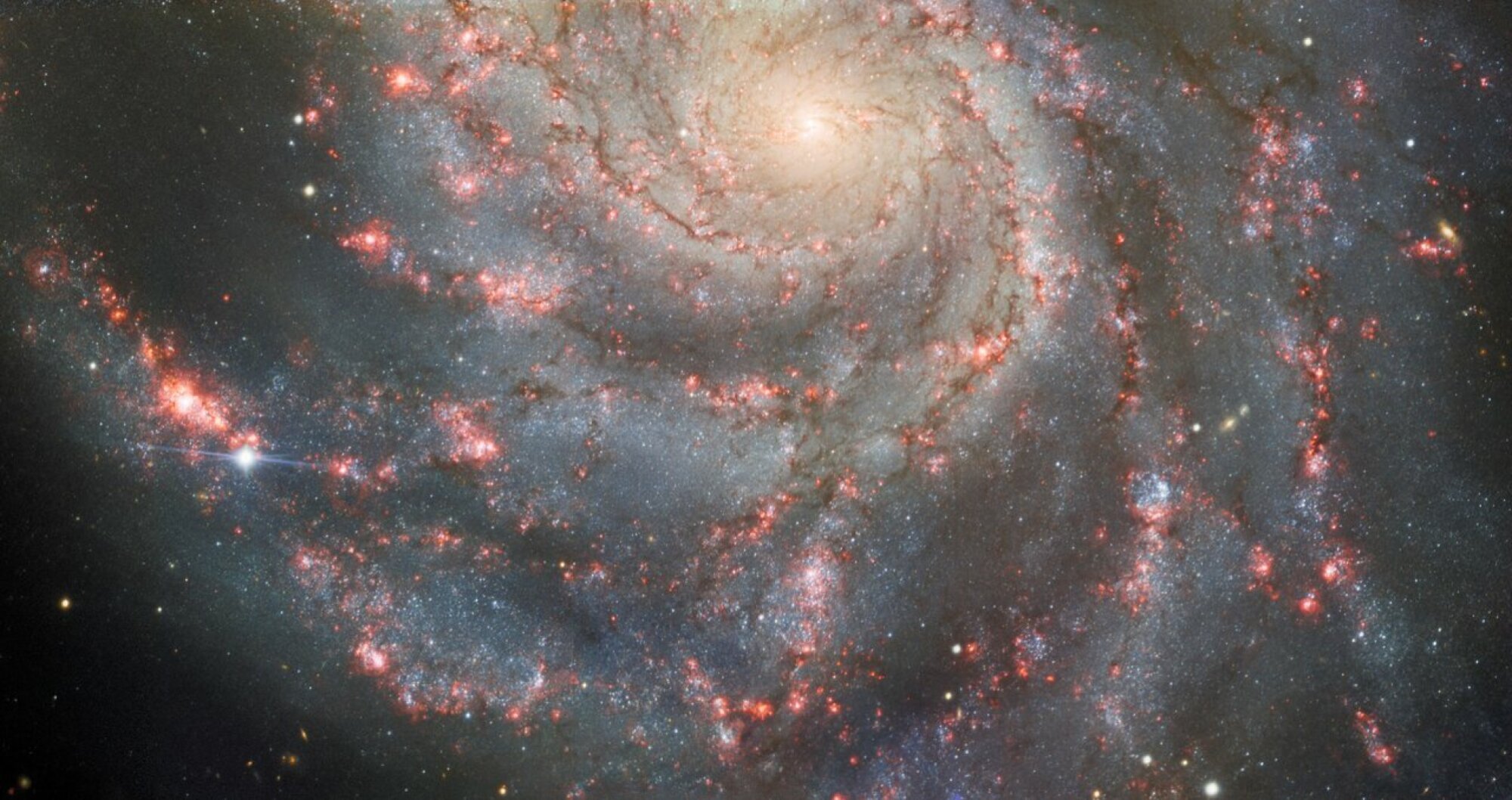 A supernova explosion spotted in the Pinwheel galaxy.